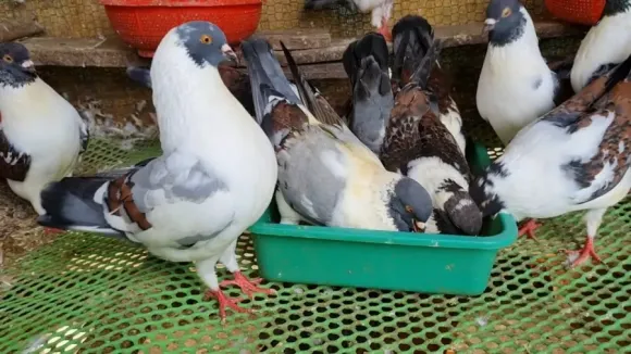 Bài viết nổi bật