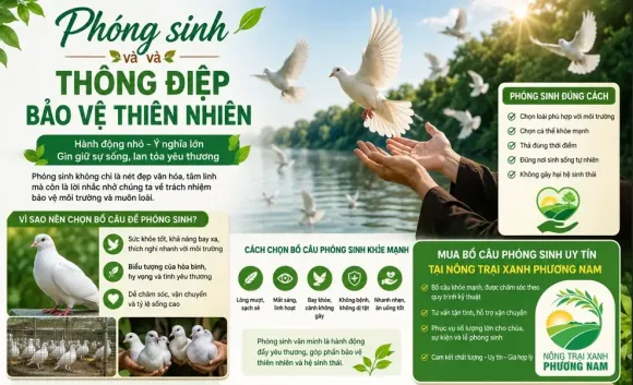 Chia sẻ kinh nghiệm