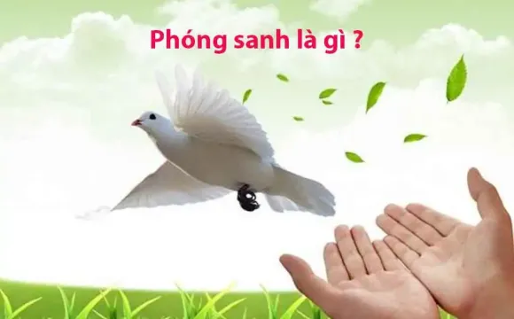 Bài viết nổi bật