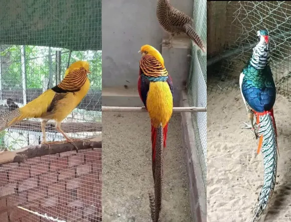 Bài viết nổi bật