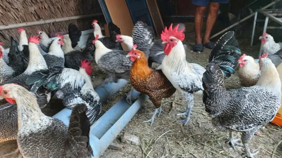 Bài viết nổi bật