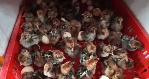 Bài viết nổi bật