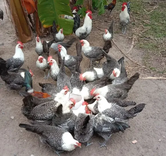 Bài viết nổi bật