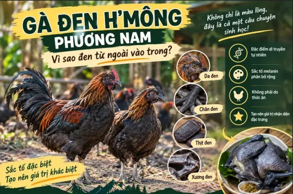 Chia sẻ kinh nghiệm