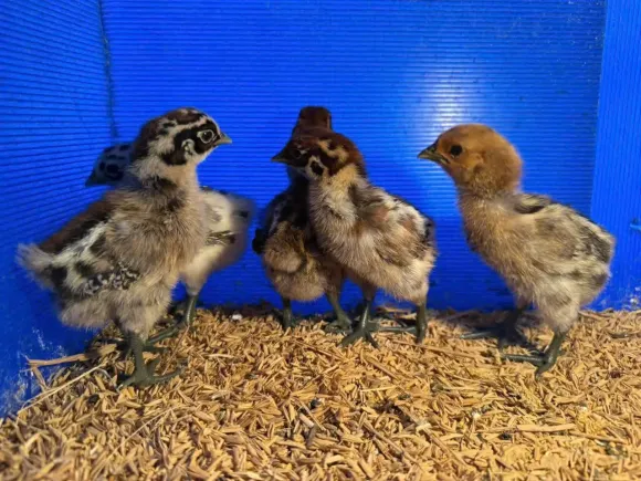 Bài viết nổi bật