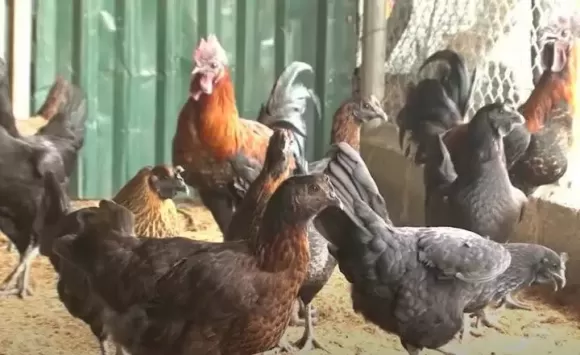 Bài viết nổi bật