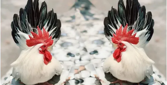 Chia sẻ kinh nghiệm