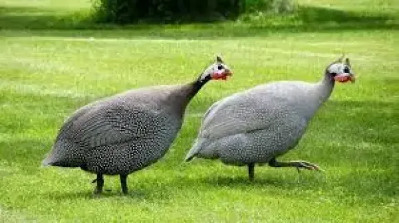 Bài viết nổi bật