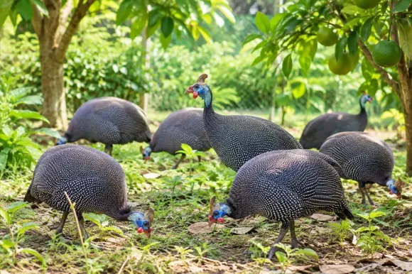 Chia sẻ kinh nghiệm