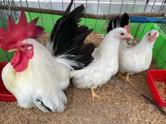 Bài viết nổi bật