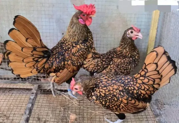 Bài viết nổi bật