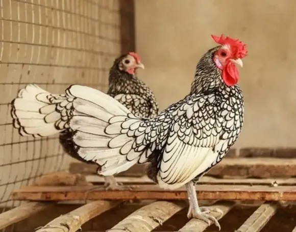 Chia sẻ kinh nghiệm