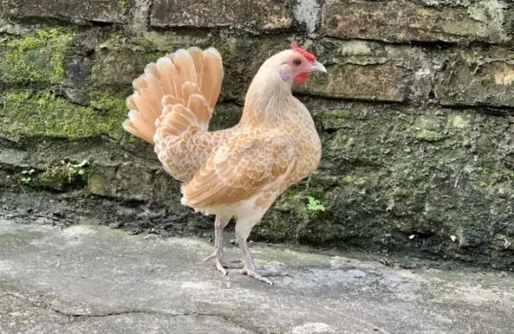 Chia sẻ kinh nghiệm