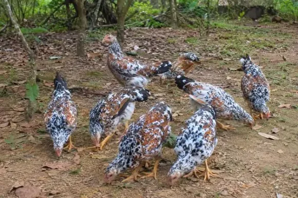 Chia sẻ kinh nghiệm