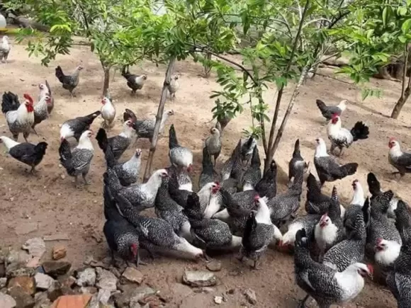 Bài viết nổi bật