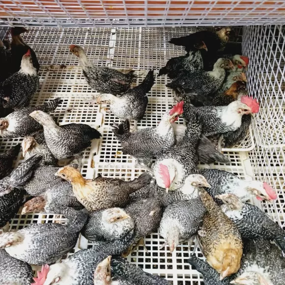 Bài viết nổi bật