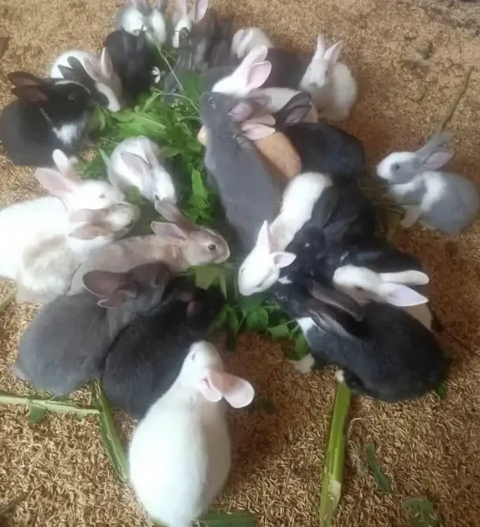 Bài viết nổi bật