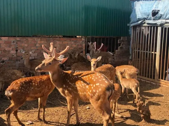 Bài viết nổi bật