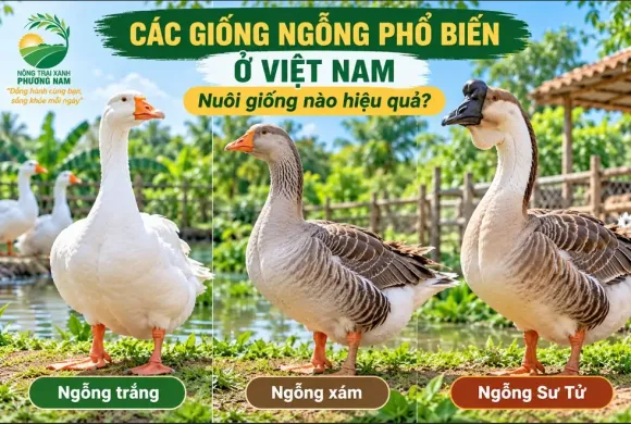 Chia sẻ kinh nghiệm