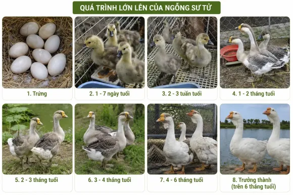 TRI THỨC NHÀ NÔNG