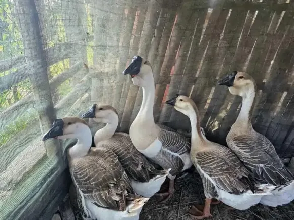 Chia sẻ kinh nghiệm