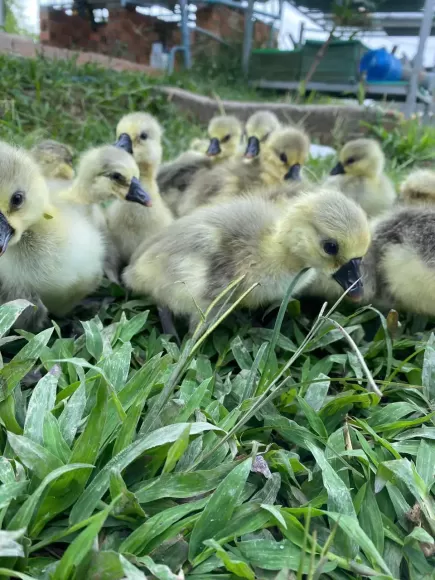 Chia sẻ kinh nghiệm