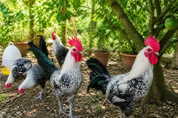 Bài viết mới nhất