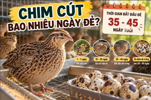 TRI THỨC NHÀ NÔNG