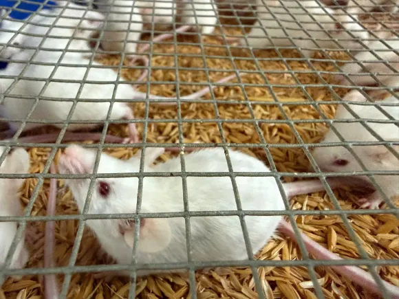 Bài viết mới nhất