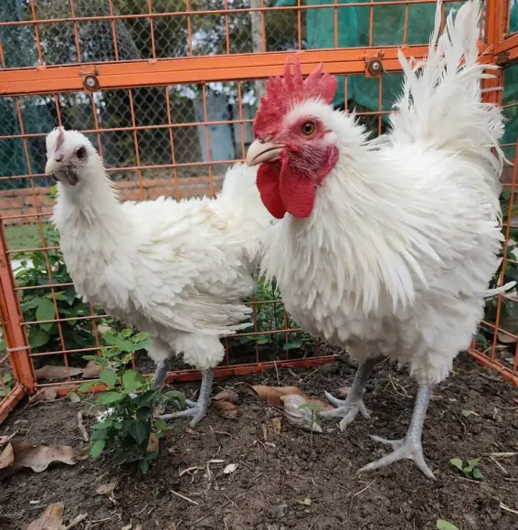 Chia sẻ kinh nghiệm