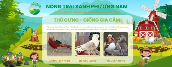 Bài viết mới nhất