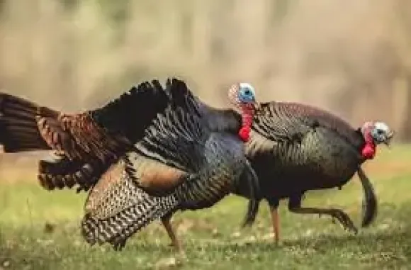 Chia sẻ kinh nghiệm