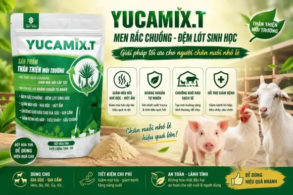 Chia sẻ kinh nghiệm