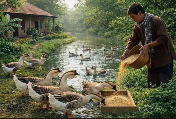 Chia sẻ kinh nghiệm