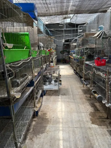 Chia sẻ kinh nghiệm