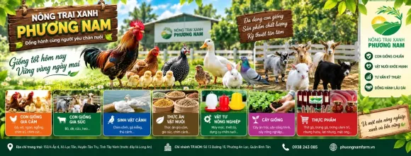 Chia sẻ kinh nghiệm