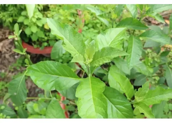 Bài viết nổi bật