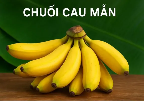 Cây ăn quả