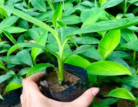 Bài viết nổi bật