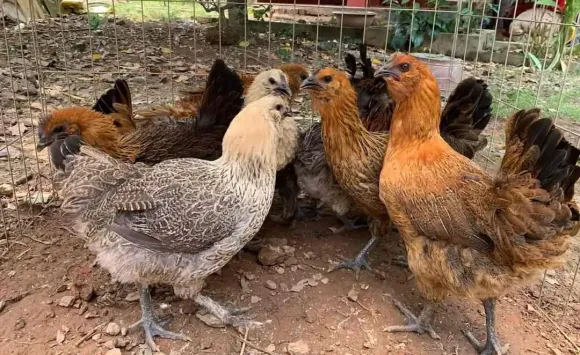 Bài viết nổi bật