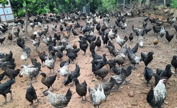 Chia sẻ kinh nghiệm