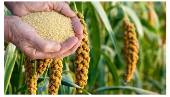 Kỹ thuật Chăn nuôi