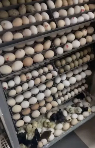 Bài viết nổi bật