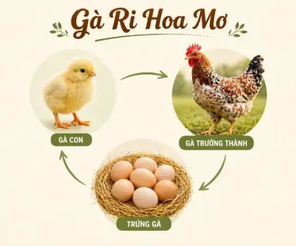 Con giống