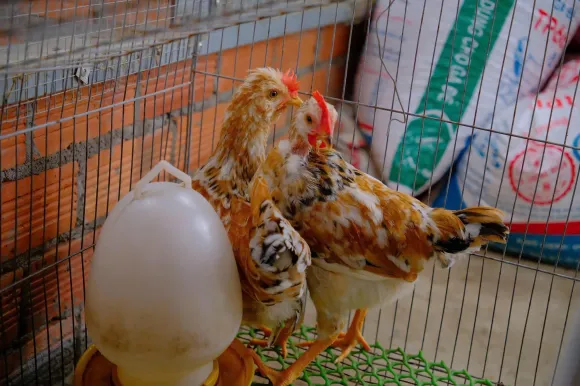 Bài viết nổi bật