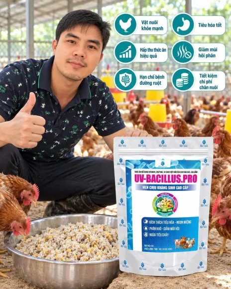 TRI THỨC NHÀ NÔNG