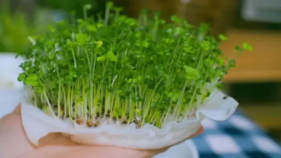 Bài viết nổi bật