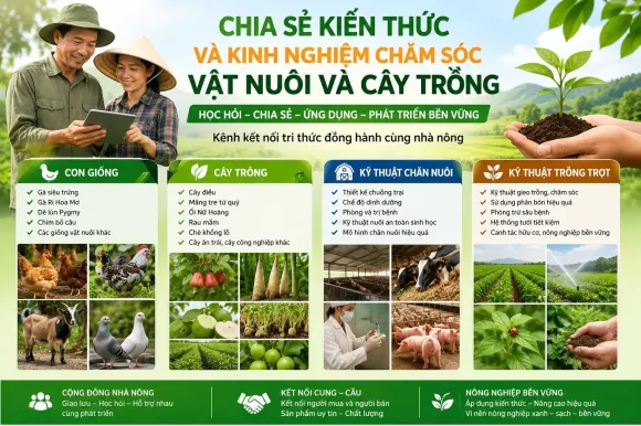 TRI THỨC NHÀ NÔNG