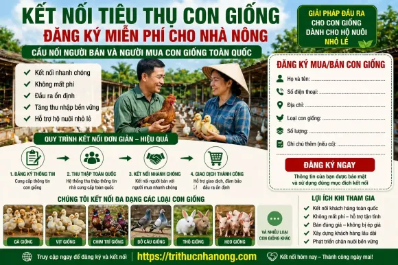 Bài viết mới nhất