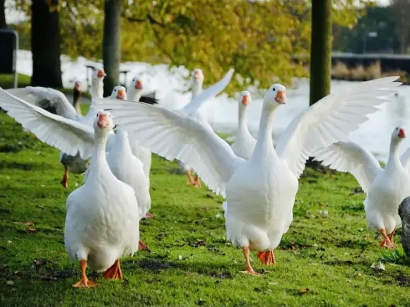 Bài viết nổi bật